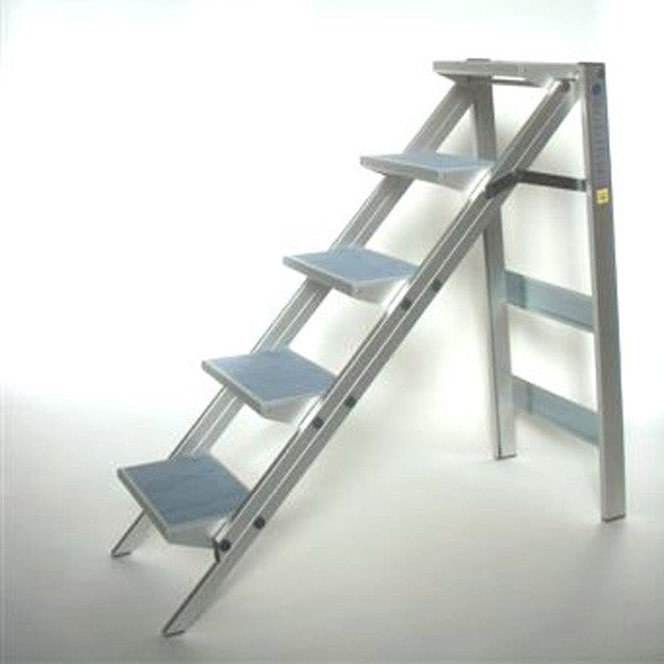 Static Ladders Static Dissipative Ladders – Data Center and Cleanroom Products and ...